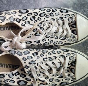 leopard converse size 7